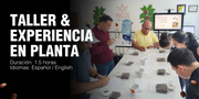 Taller & Experiencia en Planta: Del Grano a la Taza