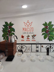 Taller & Experiencia en Planta: Del Grano a la Taza