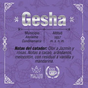Gesha Coffee